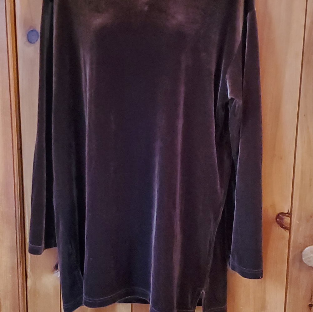 Velvet Tunic Top